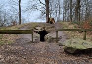 Grünes Binnenland