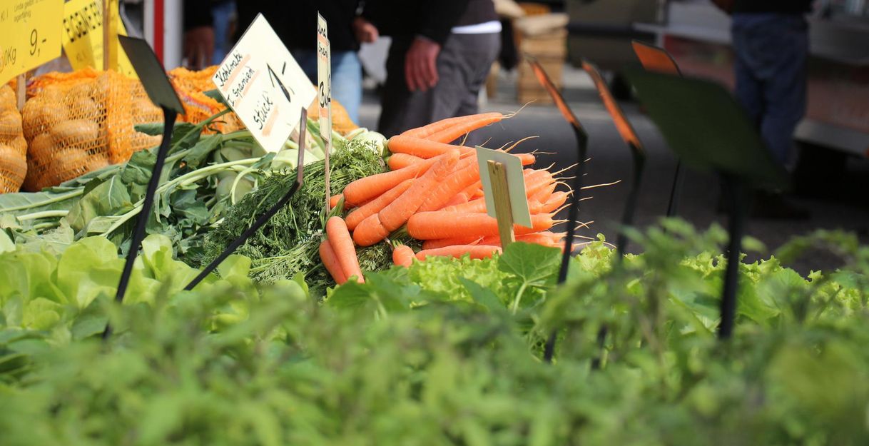 A market stall with fresh vegetables, including orange carrots and green salads. In the background, people can be seen visiting the market.