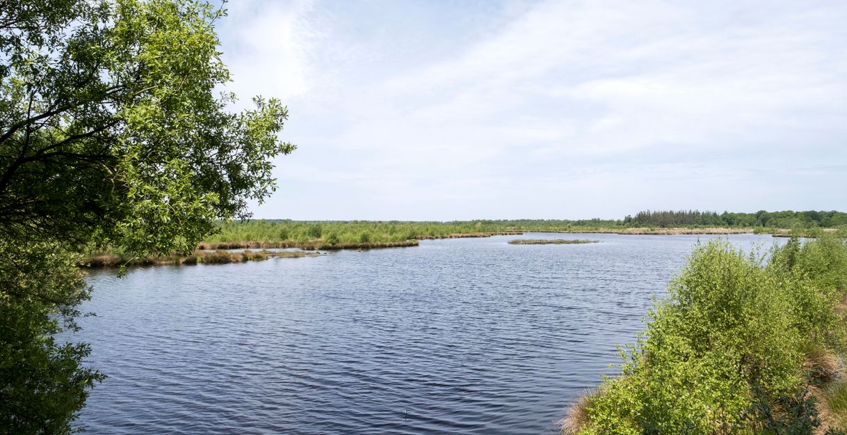 Ein ruhiger See mit grüner Vegetation am Ufer und einem bewölkten Himmel.