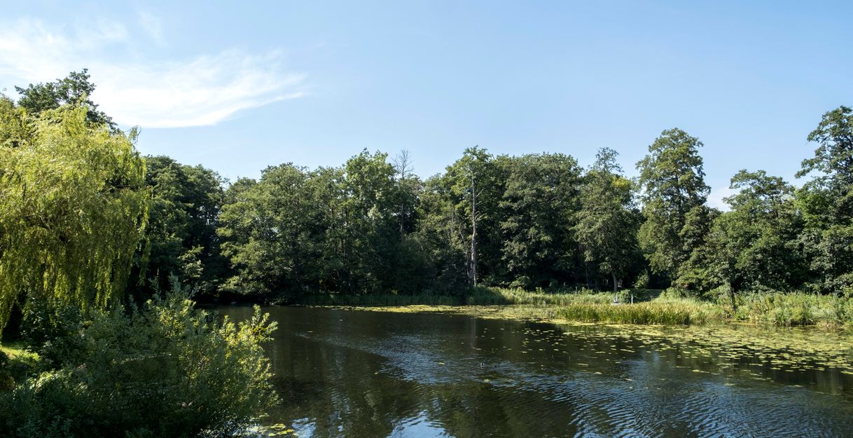 Fluss Eider in Achterwehr mit umgebenden Bäumen und klarem Himmel.