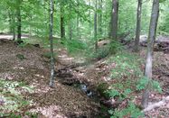 Ranger Frigga Kruse, Naturpark Aukrug e.V.