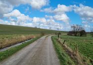 Grünes Binnenland