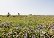Nordseeküste Nordfriesland | Markurs Rohrbacher
