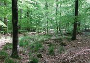 Ranger Frigga Kruse, Naturpark Aukrug e.V.