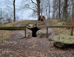 Eine Begrenzung aus Holz markiert den eher unscheinbaren Eingang zur Räuberhöhle