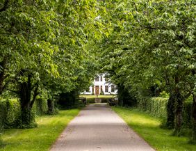 Ein gepflasterter Weg führt durch eine Allee aus grünen Bäumen zu einem weißen Gebäude.