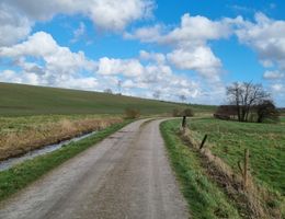 Ein für die Region typischer Feldweg zwischen Deich und Feld