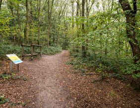 Ein Waldweg mit einem Fitnessgerät und einer Informationstafel am Rand.