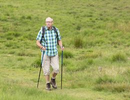 Wanderer in der Natur
