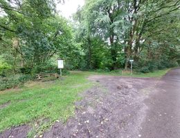 Waldweg mit Bank und Infotafel in einer grünen Umgebung.